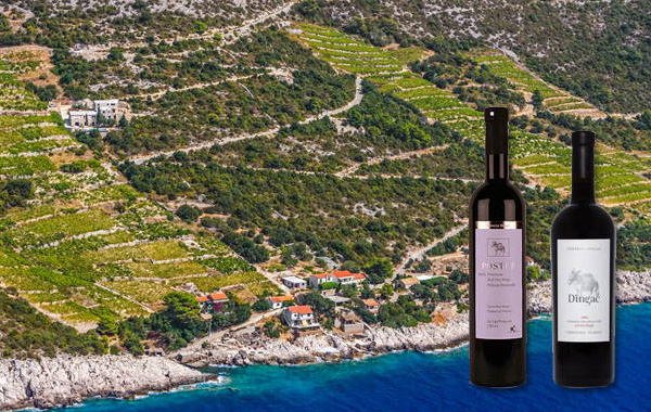 Dingac bor Horvátország