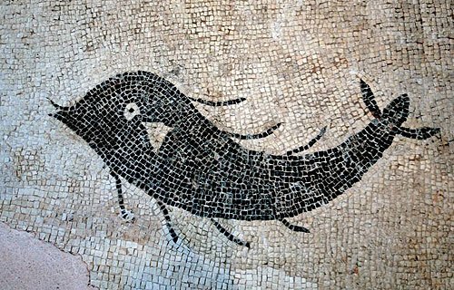 Római mozaikot is találunk Krk óvárosában