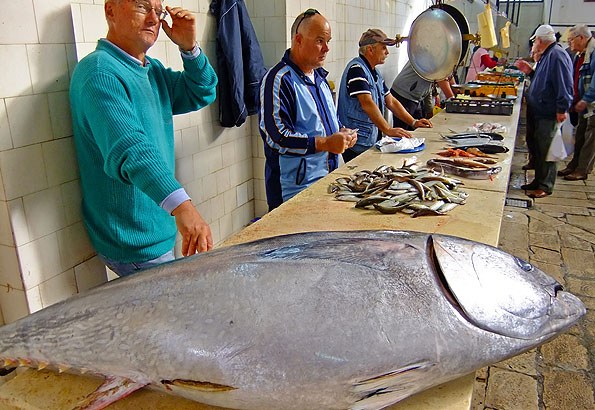 A turisták kedvenc helyszíne a Split halpiac